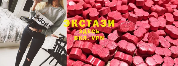 ECSTASY Богородск